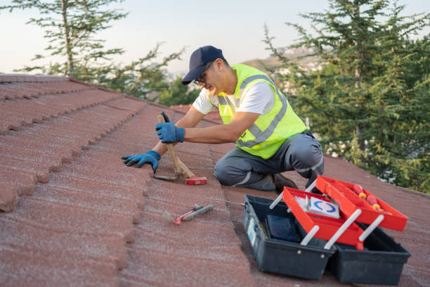 Best Metal Roofing Contractor  in Arche, OK